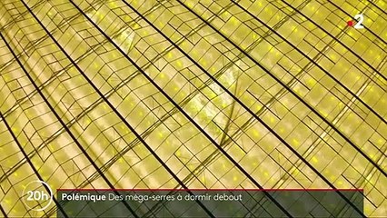 Ille-et-Vilaine : des méga-serres à tomates éclairées la nuit perturbent les oiseaux