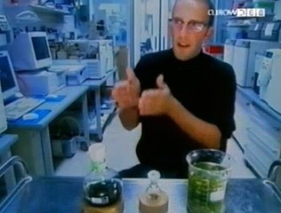 BBC - Horizon - 2001 - Killer Algae