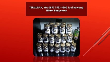 TERMURAH, WA 0852 1533 9500 Jual Bawang Hitam Banyumas
