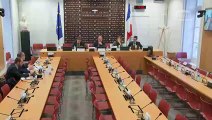 Mission d’information sur la loi NOTRe : M. Jean-Guy Talamoni, pdt de l’Assemblée de Corse, accompagné de M. Sébastien Quenot, dir. de cabinet - Jeudi 14 novembre 2019