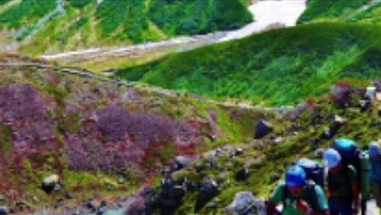 リラックスできる。日本の癒しスポット