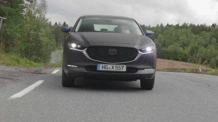 Maximale Sicherheit - Fünf Sterne für den Mazda CX-30