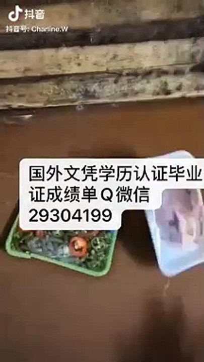 加拿大文凭学历认证Q微29304199英属哥伦比亚大学文凭〈UBC毕业证成绩单〉留信认证/英属哥伦比亚大学学位证书offer改GPA成绩使馆认证(回国人员证明)University of British Columbia