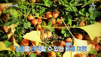 [예고] 가을의 맛 '꿀맛 나는 배'로 연 매출 22억을 번 사나이!