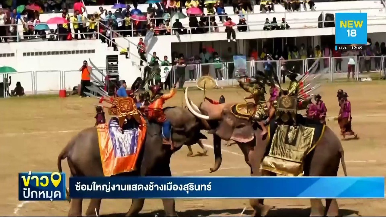 ซ้อมใหญ่งานแสดงช้างเมืองสุรินทร์ | NEW18