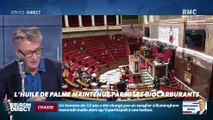 Nicolas Poincaré : L'huile de palme maintenue parmi les biocarburants - 15/11