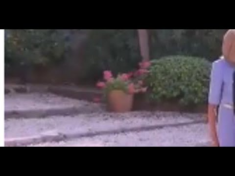 Brigitte Macron « dénigrée » à l’Elysée, entourée par des hypocrites