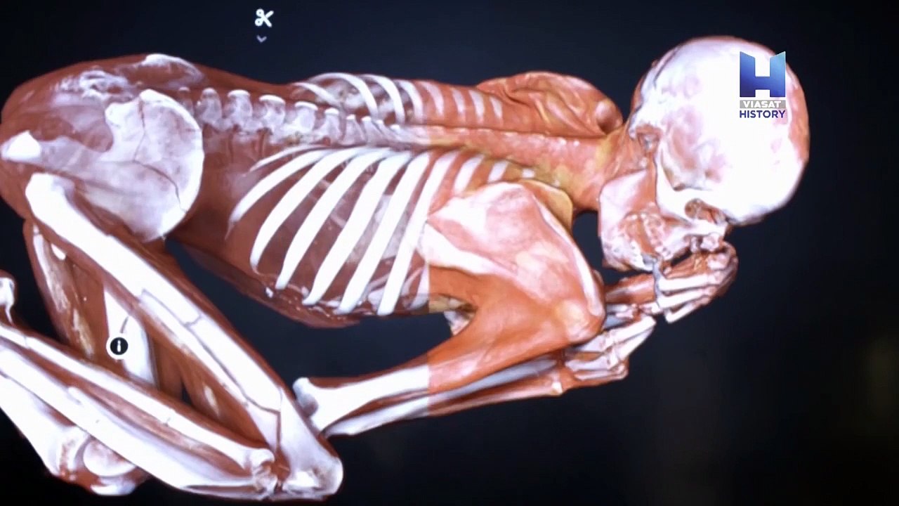 Mısır Tarihi Belgeseli - 2019 - 7.Bölüm - Ahlaksızlık ve Kötülük - (TR Belgesel)