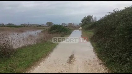 Reshje të dendura shiu në Krujë/ Lumi Ishëm del nga shtrati, disa shtëpi mbeten të izoluara