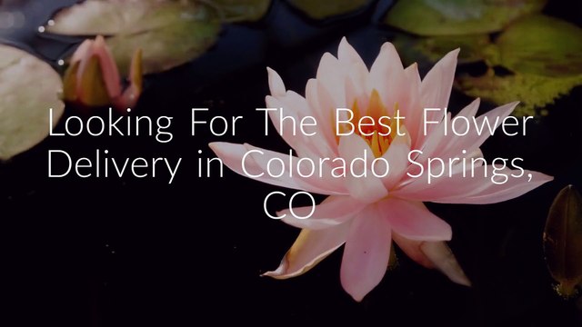 Same Day Flower Delivery Colorado Springs CO | (719) 602-6128