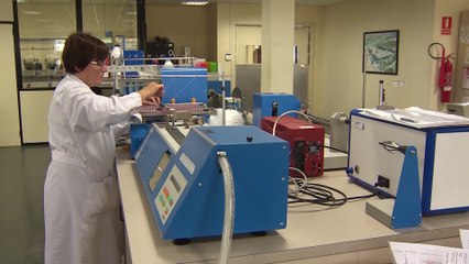 Selvafil, especializada en hilados técnicos, se convierte en la Pyme del Año en Girona