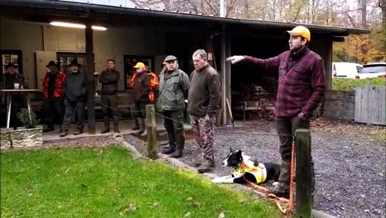 Importante chasse en cours dans la forêt du Buc...