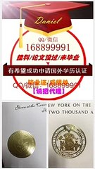 办瑞士HSG毕业证Q/WeChat:1688 99991办圣加仑大学本科毕业证,硕士毕业证,研究生毕业证文凭成绩单学位证offer申请学校,留服/留信/使馆认证,Universität St.Gallen Diploma,Degree,Transcript