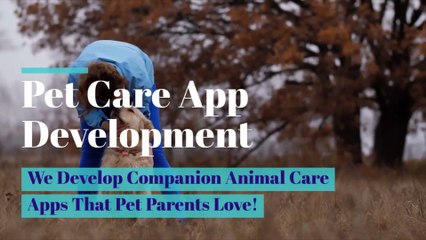 Wide Range Of Pet Care App Development Services