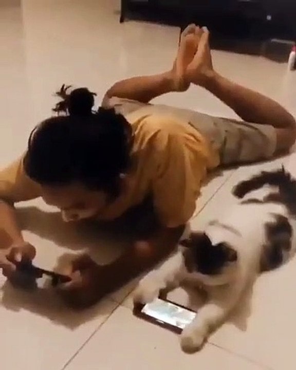 Cats and people with mobiles! Yes it is true!