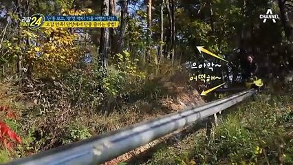 액티비티의 천국인 충북 단양! 오.감.만.족하며 단풍 즐기는 방법이 있다?!