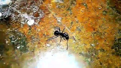 अपने Friend को ढूंढ रहा है !                       - gondia - गोंदिया ( 360 X 640 )