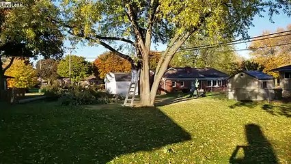 Drunk Guy Falls Off Ladder Trimming Tree