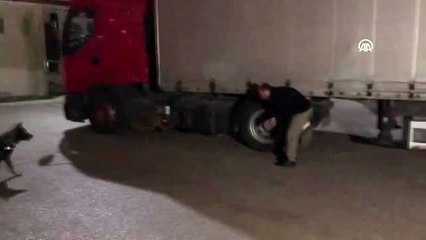 75 bin paket kaçak sigara ele geçirildi