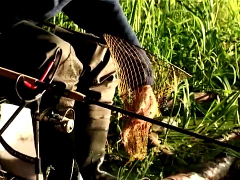 60. Братья Щербаковы - Ловля карася (часть 2)