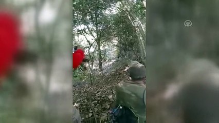 Tarım alanlarına zarar veren yaklaşık 200 kilogramlık domuz avlandı - ADANA