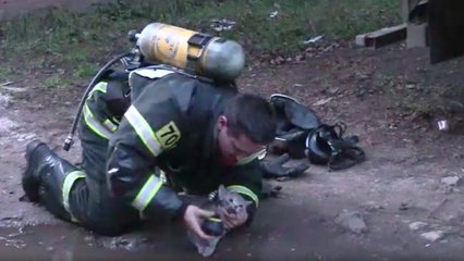 Vídeo viral: Este bombero reanima a un gato intoxicado en un incendio