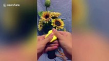Talented woman sculpts clay into incredibly realistic flowers and plants
