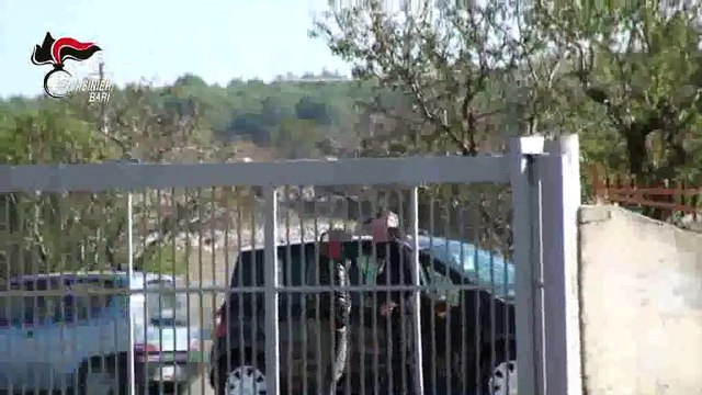 Puglia: oltre 50 arresti nella massiccia operazione dei Carabinieri nei confronti del clan D'Abramo-Sforza di Altamura