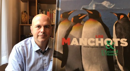 Interview 1 de Michel Gauthier-Clerc : Connaissez-vous la tortue du manchot empereur?
