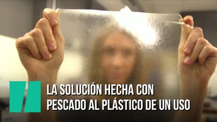 El sustitutivo al plástico de un solo uso hecho con pescado