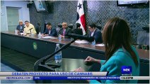 Debaten proyecto para uso de cannabis - Nex Noticias