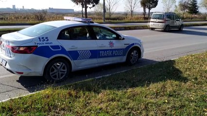 Otomobilin çarpması sonucu yaralanan 'Şanslı' kedi tedavi edilecek - EDİRNE