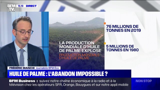 Pourquoi la France a du mal à se passer de l'huile de palme?
