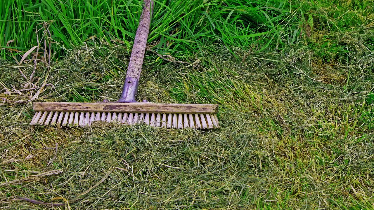 Amazon et eBay vendraient illégalement des pesticides interdits en France, selon cette association