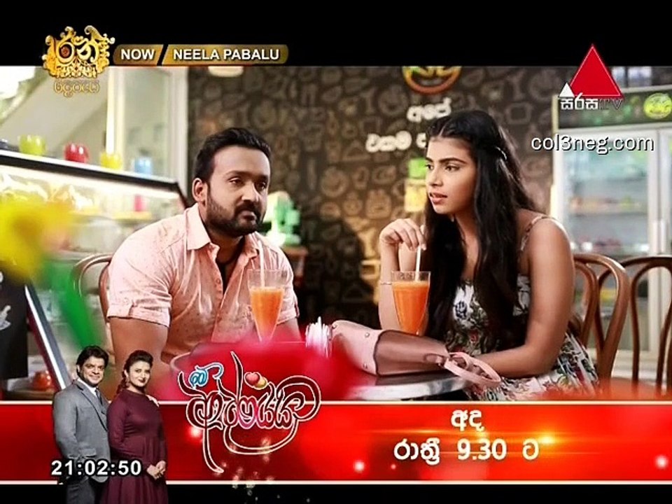 NP15112019