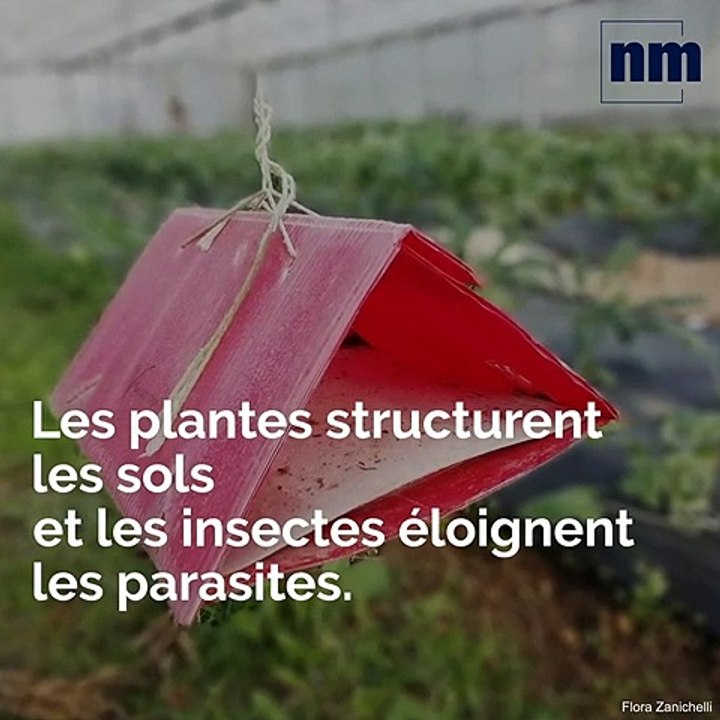 Le campus Vert d'Azur forme les agriculteurs de demain