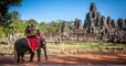 Cambodge : les balades à dos d'éléphants interdites à Angkor dès début 2020