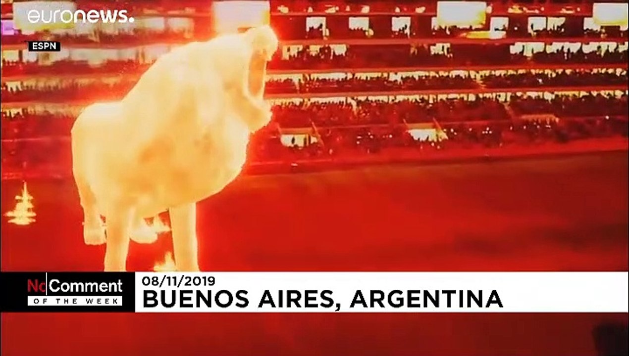 Ein Löwe aus Licht, ein Schwein mit Nagellack und 'Spiderman' in Paris