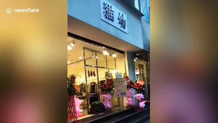 'Buy clothes get pork free!' Chinese clothing shop uses meat as promotional offer