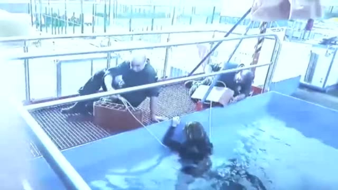 El Chicle hundió el cuerpo de Diana Quer con unos ladrillos de más de 18 kilos