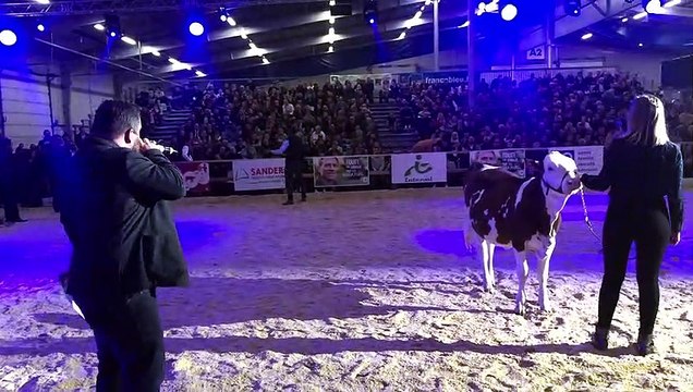 Besançon (25) : Vache de salon, adjugées, vendues les génisses !
