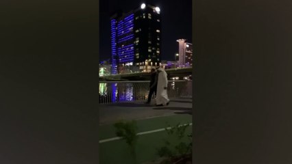 السيسي وبن زايد يتفقدان معالم أبو ظبي سيرا على الأقدام