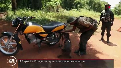 Afrique : un Français en guerre contre le braconnage