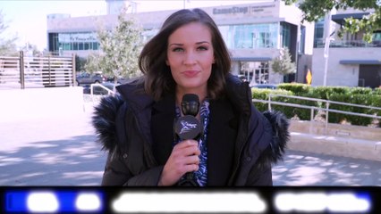 Dallas Cowboys vs Detriot Lions Preview Week 11