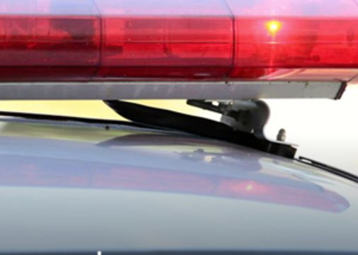 Mesa man, woman charged with dog fighting, 3 dogs removed from home