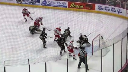 Hershey Bears Vs Charlotte Checkers