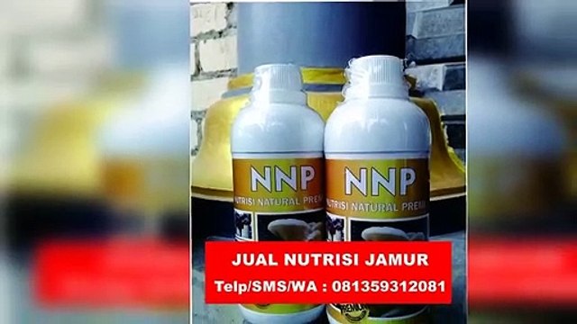 Agen! TELP/SMS/WA : 0813-5931-2081 (Tsel), Jual nutrisi jamur tiram