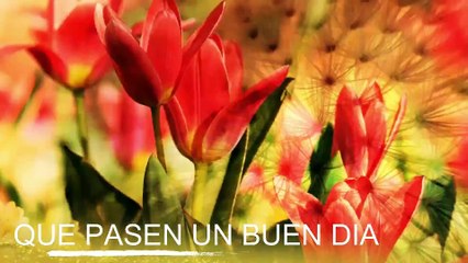 Conoce El Tiempo de Hoy Sábado 16 de Noviembre de 2019