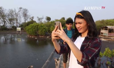 Suasana Hutan Mangrove di Tangerang Buat Ardit dan Afi Terpana! – FOLLOW ME (3)