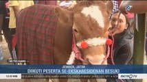 Pemkab Jember Gelar Festival Dunia Peternakan 2019